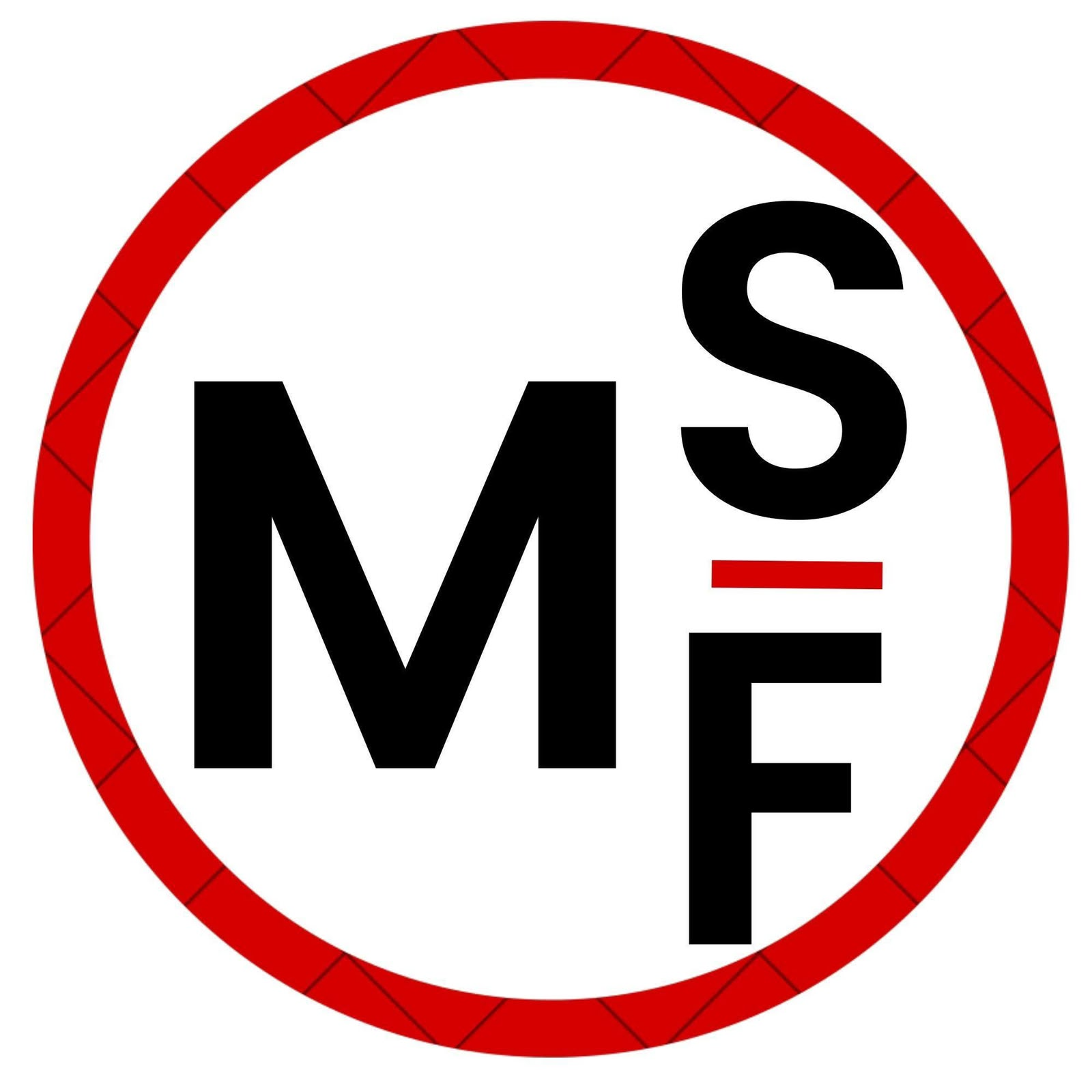 MSF Materiales Steel Frame
